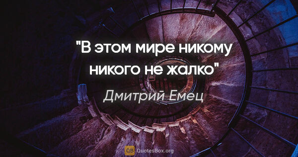 Дмитрий Емец цитата: "В этом мире никому никого не жалко"