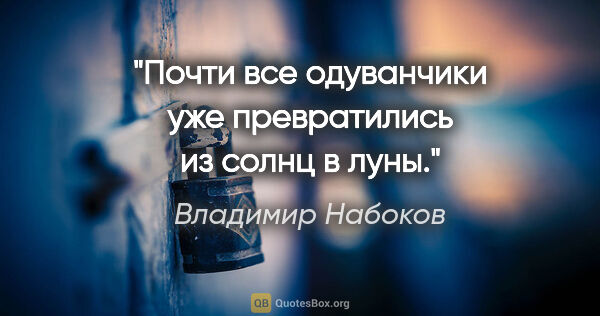 Владимир Набоков цитата: "«Почти все одуванчики уже превратились из солнц в луны»."