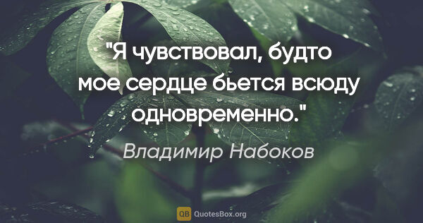 Владимир Набоков цитата: "«Я чувствовал, будто мое сердце бьется всюду одновременно»."