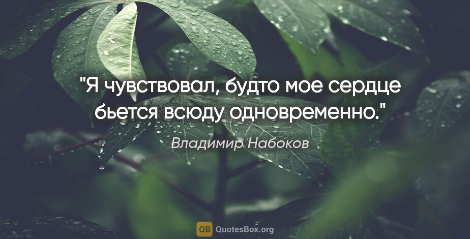Владимир Набоков цитата: "«Я чувствовал, будто мое сердце бьется всюду одновременно»."