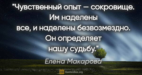 Елена Макарова цитата: "Чувственный опыт — сокровище. Им наделены все, и наделены..."