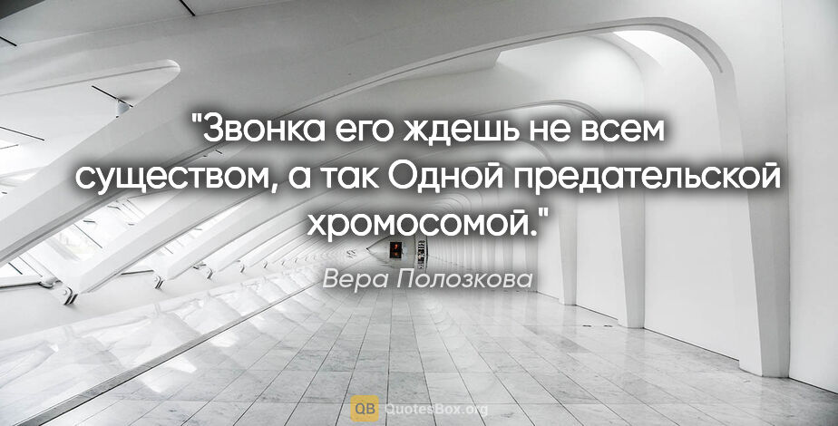 Вера Полозкова цитата: "Звонка его ждешь не всем существом, а так

Одной предательской..."