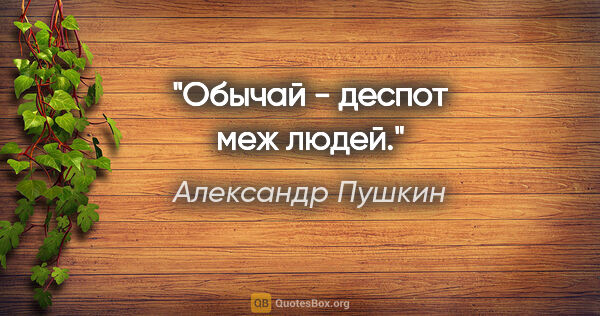 Александр Пушкин цитата: "Обычай - деспот меж людей."