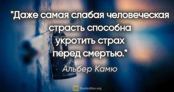 Альбер Камю цитата: "Даже самая слабая человеческая страсть способна укротить страх..."