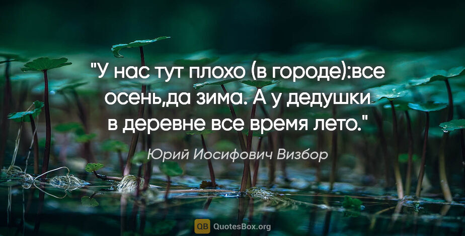 Юрий Иосифович Визбор цитата: "У нас тут плохо (в городе):все осень,да зима. А у дедушки в..."