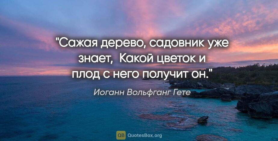 Иоганн Вольфганг Гете цитата: "Сажая дерево, садовник уже знает, 

Какой цветок и плод с него..."