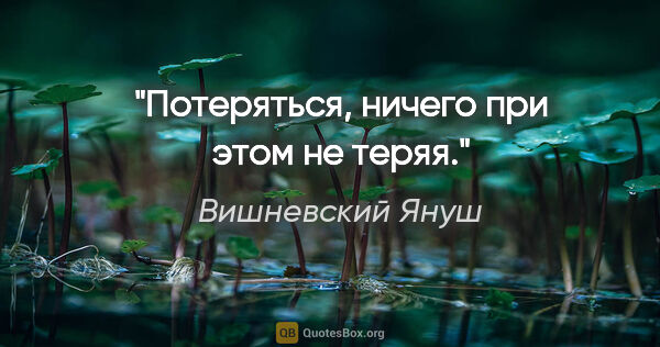 Вишневский Януш цитата: "Потеряться, ничего при этом не теряя."