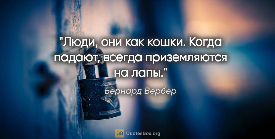 Бернард Вербер цитата: "Люди, они как кошки. Когда падают, всегда приземляются на лапы."