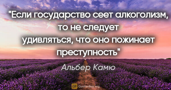 Альбер Камю цитата: "Если государство сеет алкоголизм, то не следует удивляться,..."