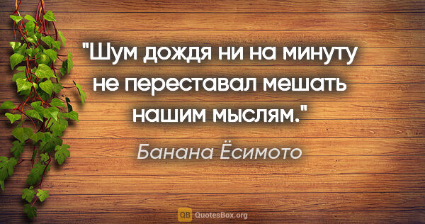 Банана Ёсимото цитата: "Шум дождя ни на минуту не переставал мешать нашим мыслям."