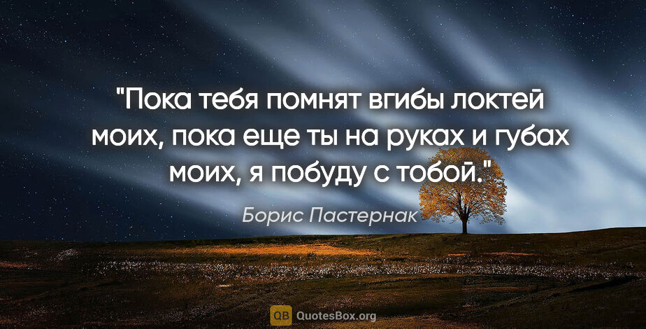 Борис Пастернак цитата: "Пока тебя помнят вгибы локтей моих, пока еще ты на руках и..."