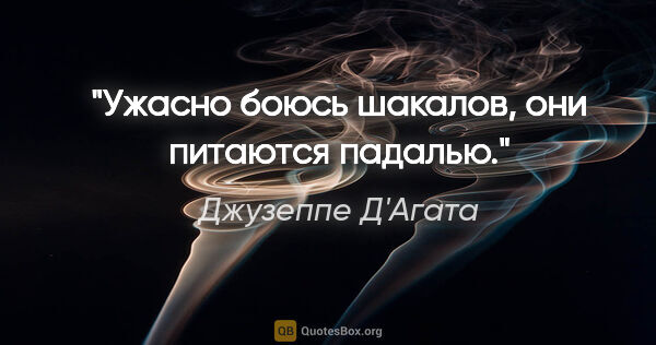 Джузеппе Д'Агата цитата: "Ужасно боюсь шакалов, они питаются падалью."