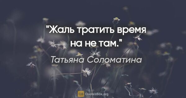 Татьяна Соломатина цитата: "Жаль тратить время на не там."