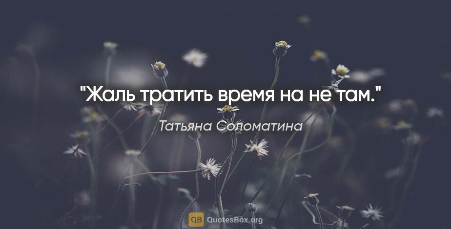 Татьяна Соломатина цитата: "Жаль тратить время на не там."
