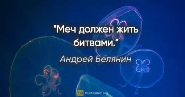 Андрей Белянин цитата: "Меч должен жить битвами."