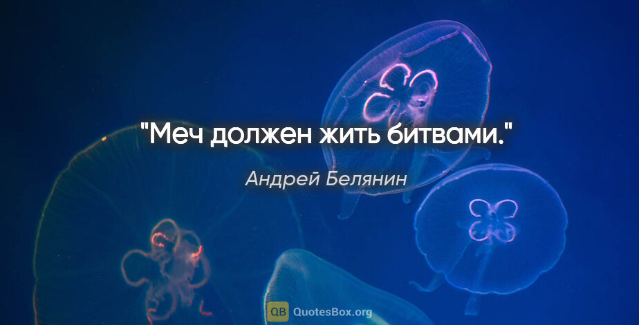 Андрей Белянин цитата: "Меч должен жить битвами."