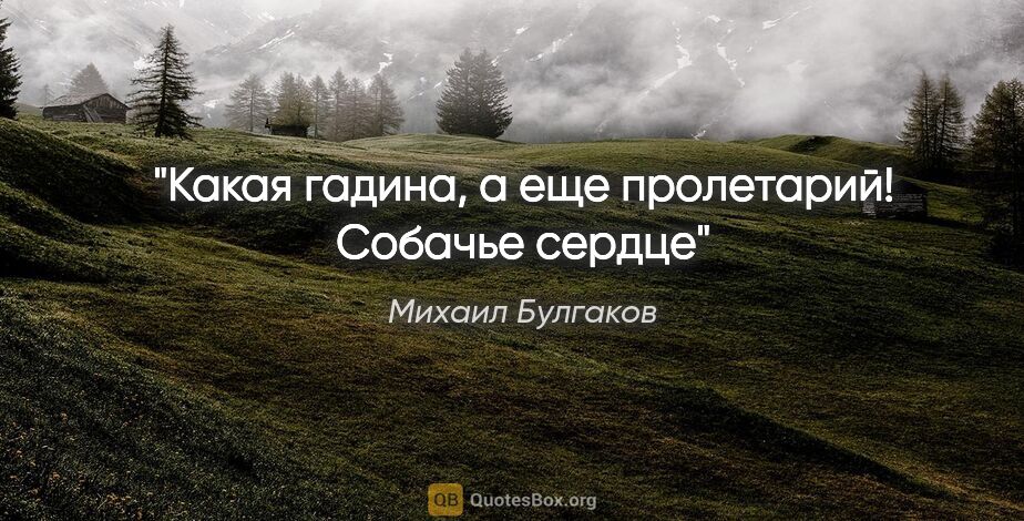 Михаил Булгаков цитата: "Какая гадина, а еще пролетарий!

Собачье сердце"