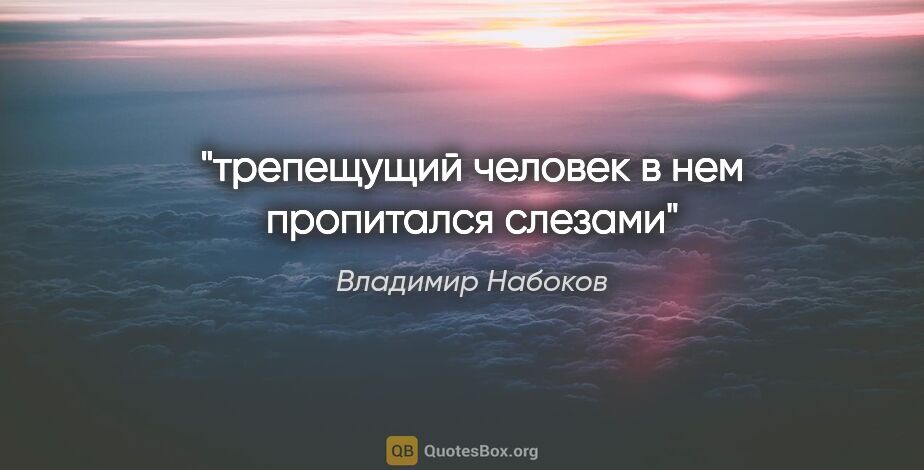 Владимир Набоков цитата: "трепещущий человек в нем пропитался слезами"