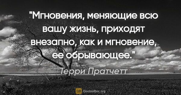 Терри Пратчетт цитата: "Мгновения, меняющие всю вашу жизнь, приходят внезапно, как и..."