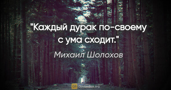 Михаил Шолохов цитата: "Каждый дурак по-своему с ума сходит."