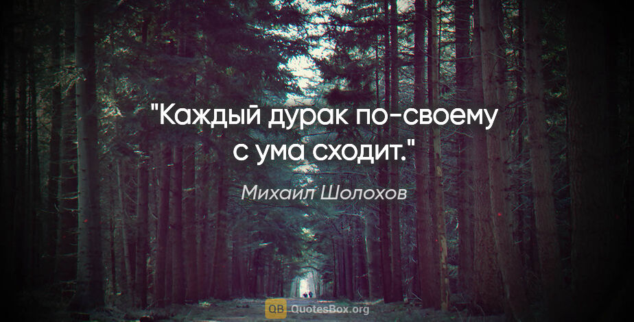 Михаил Шолохов цитата: "Каждый дурак по-своему с ума сходит."