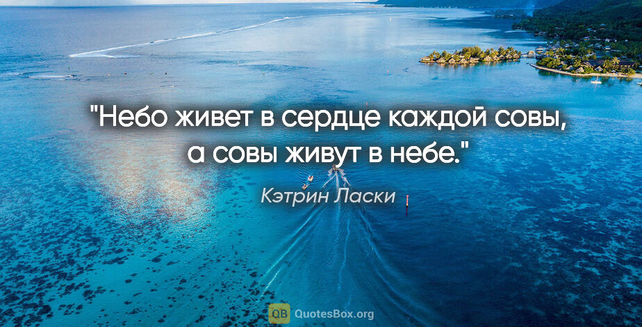 Кэтрин Ласки цитата: "Небо живет в сердце каждой совы, а совы живут в небе."