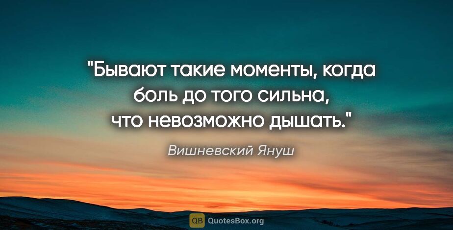 Вишневский Януш цитата: "Бывают такие моменты, когда боль до того сильна, что..."