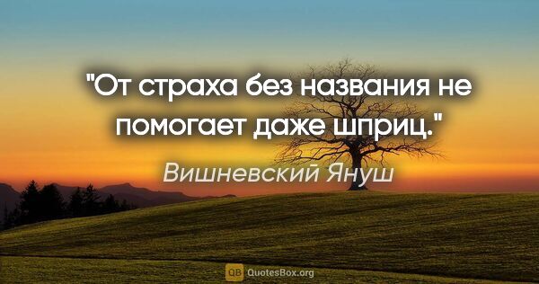 Вишневский Януш цитата: "От страха без названия не помогает даже шприц."