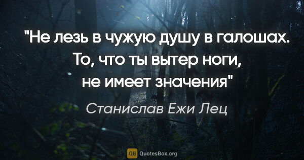 Станислав Ежи Лец цитата: "Не лезь в чужую душу в галошах. То, что ты вытер ноги, не..."