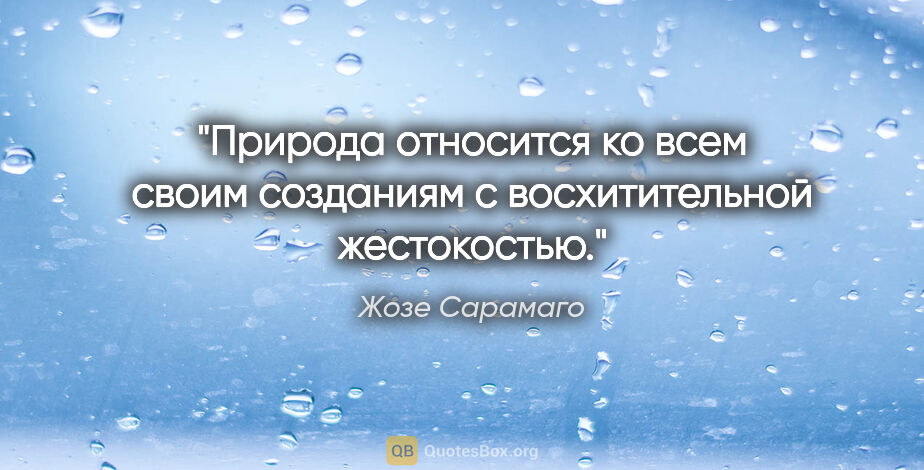 Жозе Сарамаго цитата: "Природа относится ко всем своим созданиям с восхитительной..."