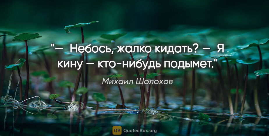 Михаил Шолохов цитата: "— Небось, жалко кидать?

— Я кину — кто-нибудь подымет."