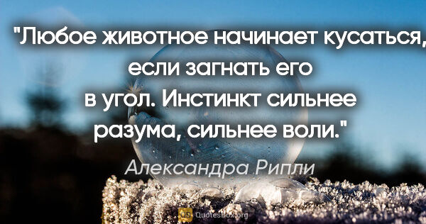 Александра Рипли цитата: "Любое животное начинает кусаться, если загнать его в угол...."