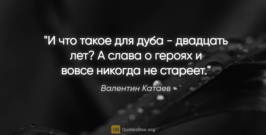 Валентин Катаев цитата: "И что такое для дуба - двадцать лет? А слава о героях и вовсе..."