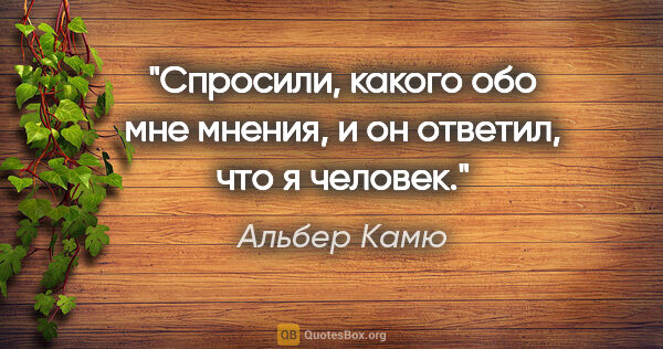 Альбер Камю цитата: "Спросили, какого обо мне мнения, и он ответил, что я человек."