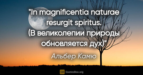 Альбер Камю цитата: "In magnificentia naturae resurgit spiritus.

(В великолепии..."