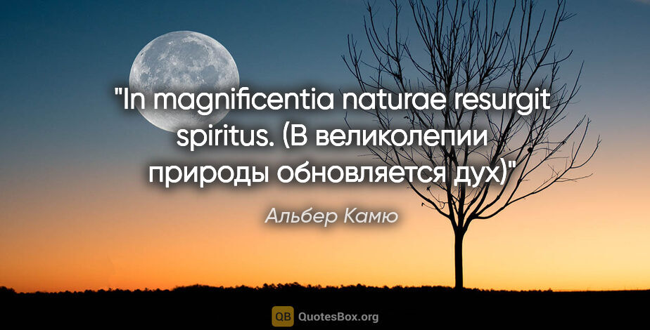 Альбер Камю цитата: "In magnificentia naturae resurgit spiritus.

(В великолепии..."