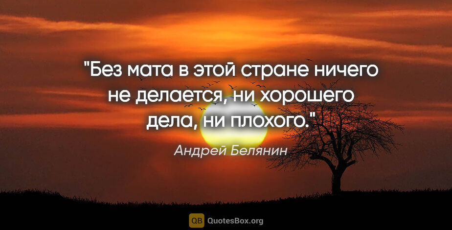 Андрей Белянин цитата: "Без мата в этой стране ничего не делается, ни хорошего дела,..."