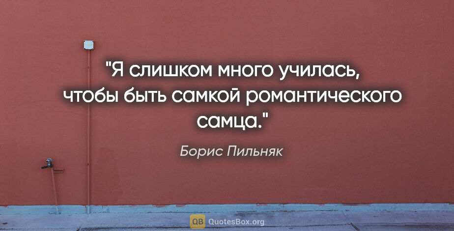 Борис Пильняк цитата: "Я слишком много училась, чтобы быть самкой романтического самца."