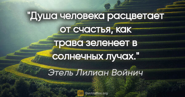 Этель Лилиан Войнич цитата: "Душа человека расцветает от счастья, как трава зеленеет в..."