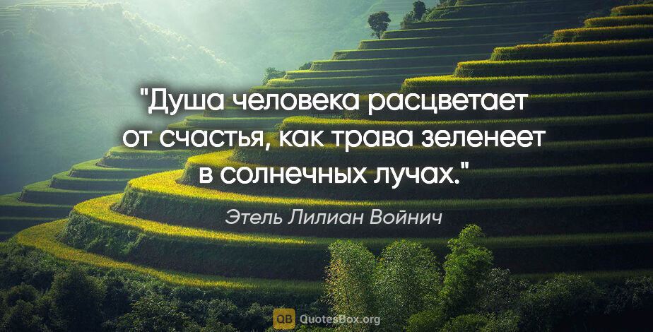 Этель Лилиан Войнич цитата: "Душа человека расцветает от счастья, как трава зеленеет в..."