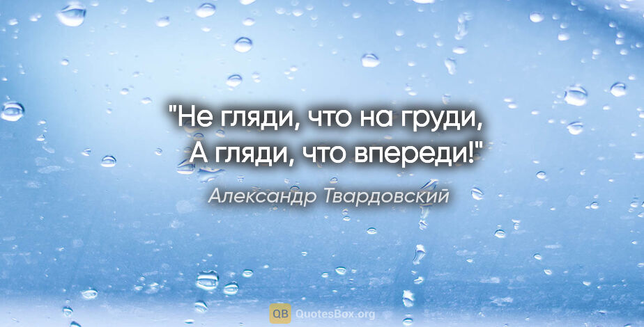 Александр Твардовский цитата: "Не гляди, что на груди,

   А гляди, что впереди!"
