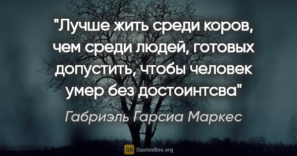 Габриэль Гарсиа Маркес цитата: "Лучше жить среди коров, чем среди людей, готовых допустить,..."