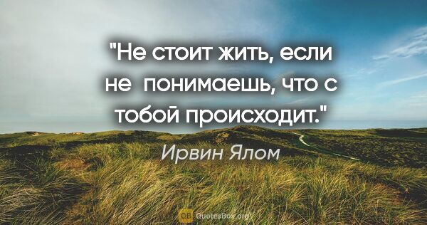 Ирвин Ялом цитата: "Не стоит жить, если не  понимаешь, что с тобой происходит."