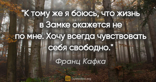 Франц Кафка цитата: "К тому же я боюсь, что жизнь в Замке окажется не по мне. Хочу..."