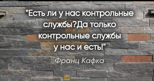 Франц Кафка цитата: "Есть ли у нас контрольные службы?Да только контрольные службы..."