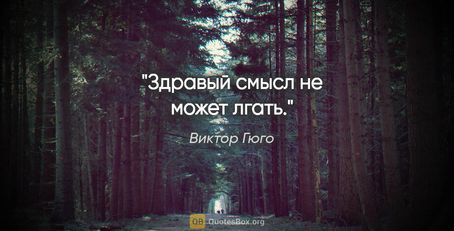 Виктор Гюго цитата: "Здравый смысл не может лгать."