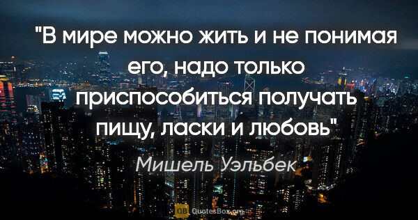 Мишель Уэльбек цитата: "В мире можно жить и не понимая его, надо только приспособиться..."