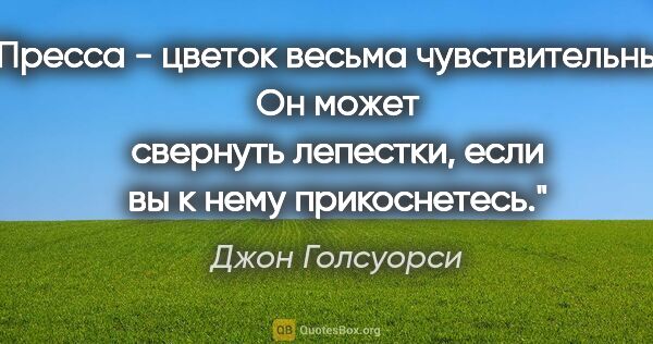 Джон Голсуорси цитата: "Пресса - цветок весьма чувствительный. Он может свернуть..."