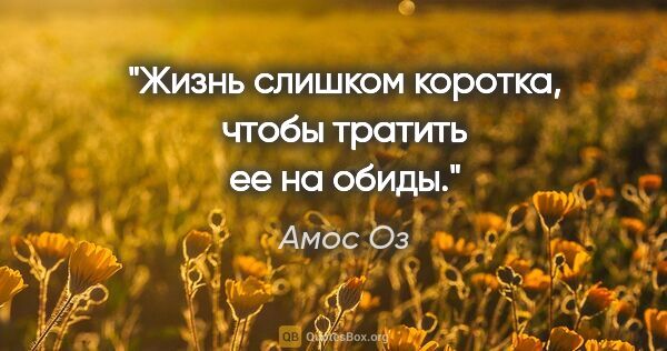 Амос Оз цитата: "Жизнь слишком коротка, чтобы тратить ее на обиды."