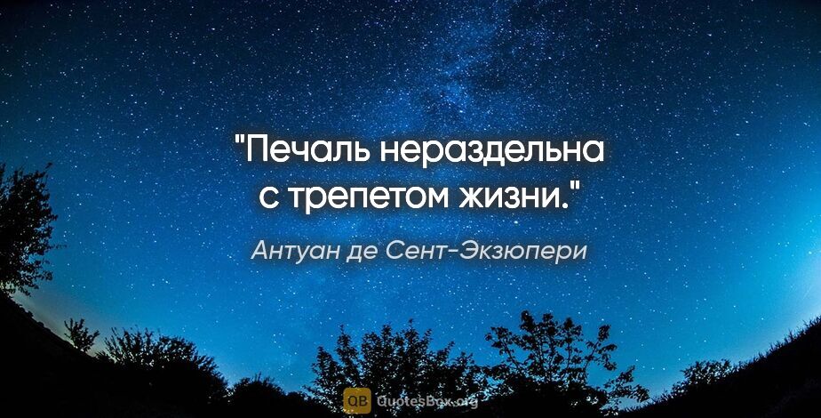 Антуан де Сент-Экзюпери цитата: "Печаль нераздельна с трепетом жизни."